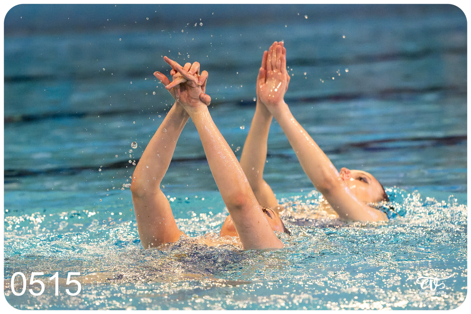 CHAMPIONNAT DE FRANCE DE NATATiON ARTISTIQUE N1 & ELITE 2026